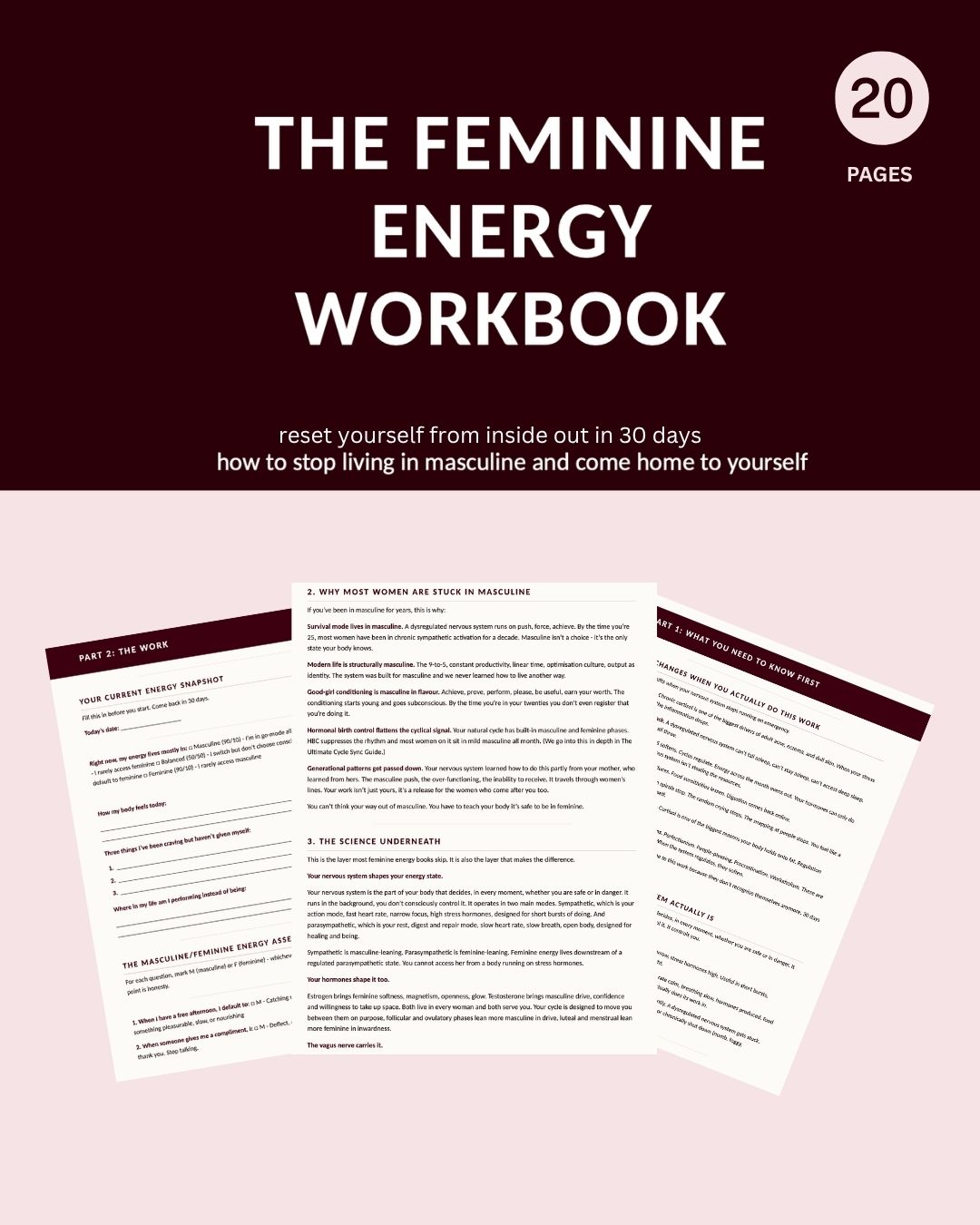 The Feminine Energy Workbook